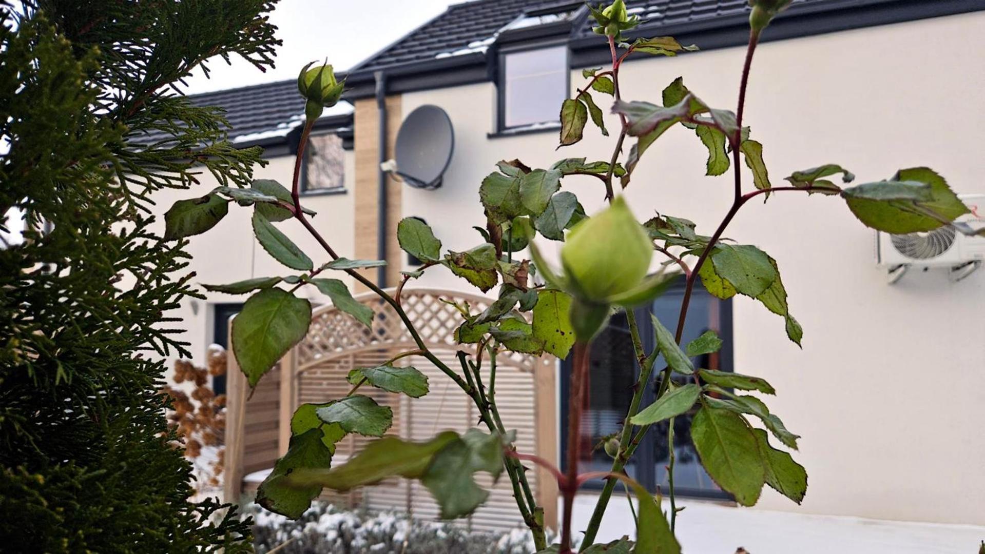 Nadmorska Osada Villa Oslonino Eksteriør billede